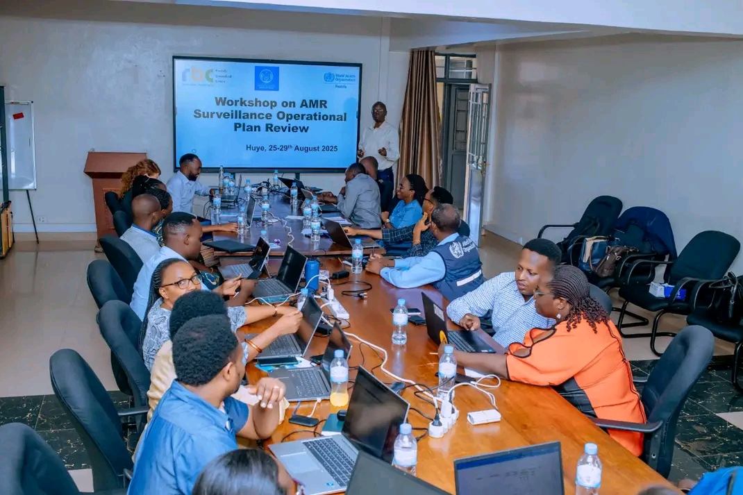 Workshop Session in Progress